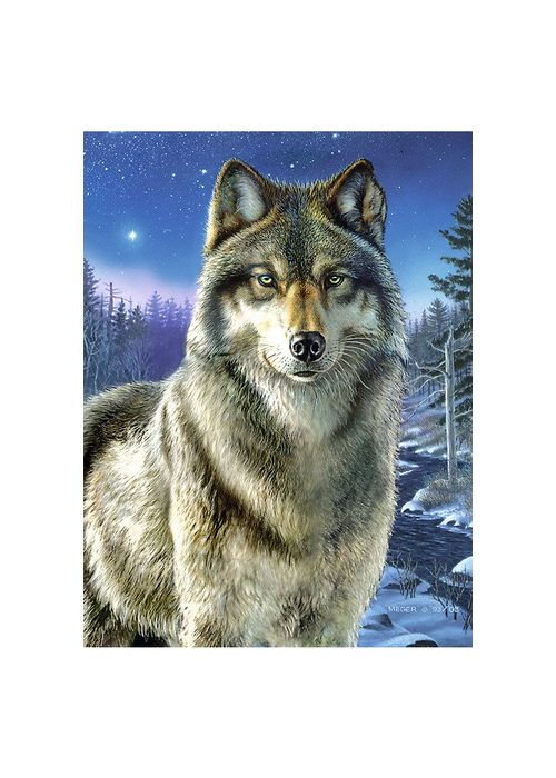 reeves Malen nach Zahlen Wolf 23 x 30 cm