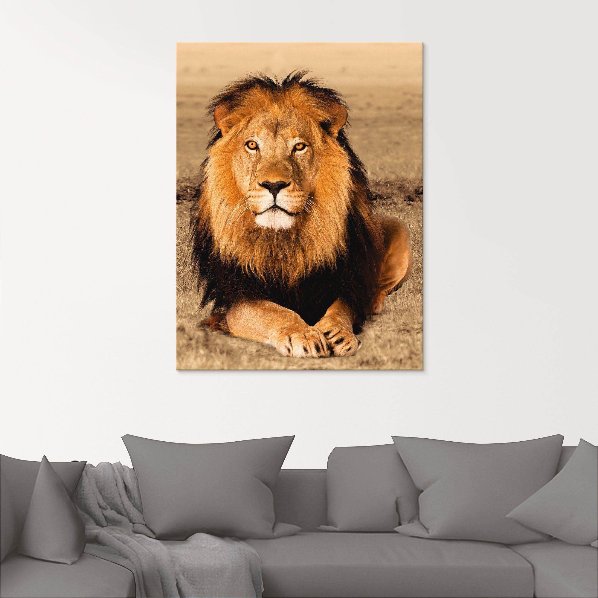 Artland Glasbild Löwe, Wildtiere (1 St), in verschiedenen Größen
