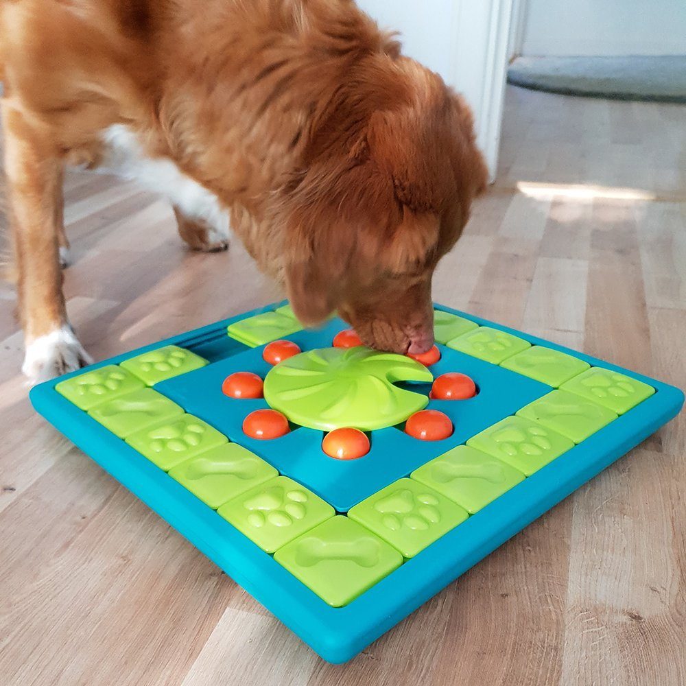 Nina Ottosson Tier-Intelligenzspielzeug MultiPuzzle grün