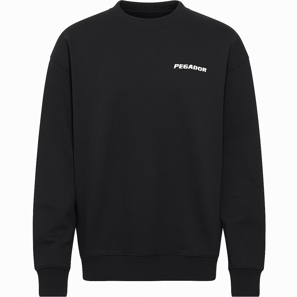 Pegador Rundhalspullover Pegador Logo Oversized Sweater günstig online kaufen