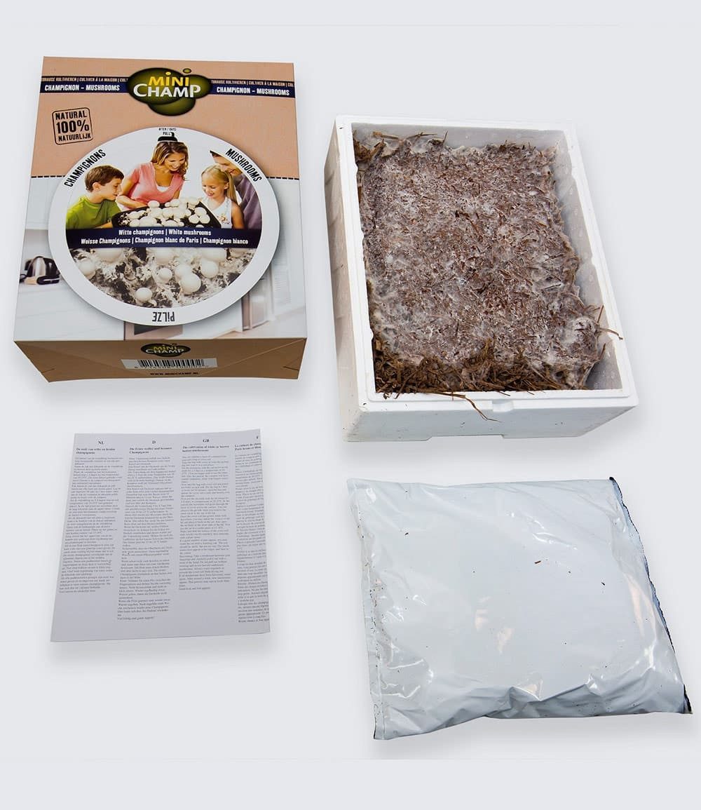 BALDUR Garten Gemüsepflanze Weiße Edel-Champignons (Kulturset), 1 St., Pilzzuchtset, essbar, ertragreich, winterhart, mehrjährig