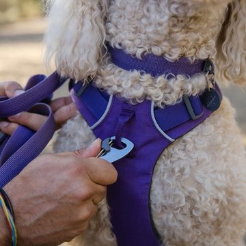 Ruffwear Hunde-Halsband FRONT RANGE™ COLLAR Purple Sage, 100% Polyester Tubelok™ Schlauchband, Halsband für alltägliche Abenteuer.
