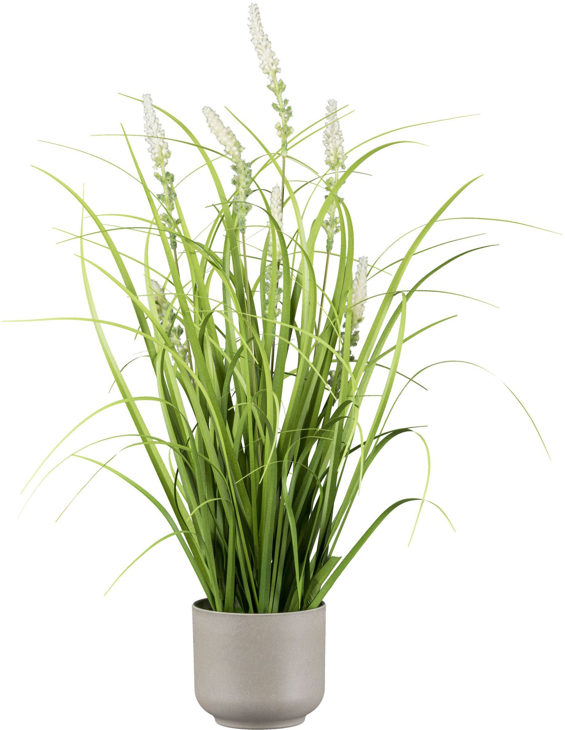 Kunstgras Grasbusch mit Salvienblüten, Creativ green, Höhe 48 cm, mit detailgetreuen Blüten und Grashalmen