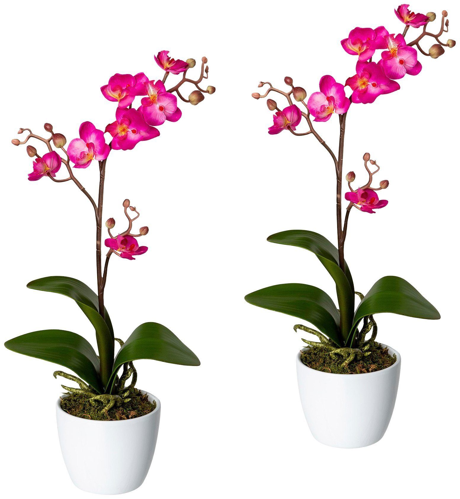 Kunstpflanze Orchidee Phalaenopsis Orchidee, Creativ green, Höhe 55 cm, im Keramiktopf pink