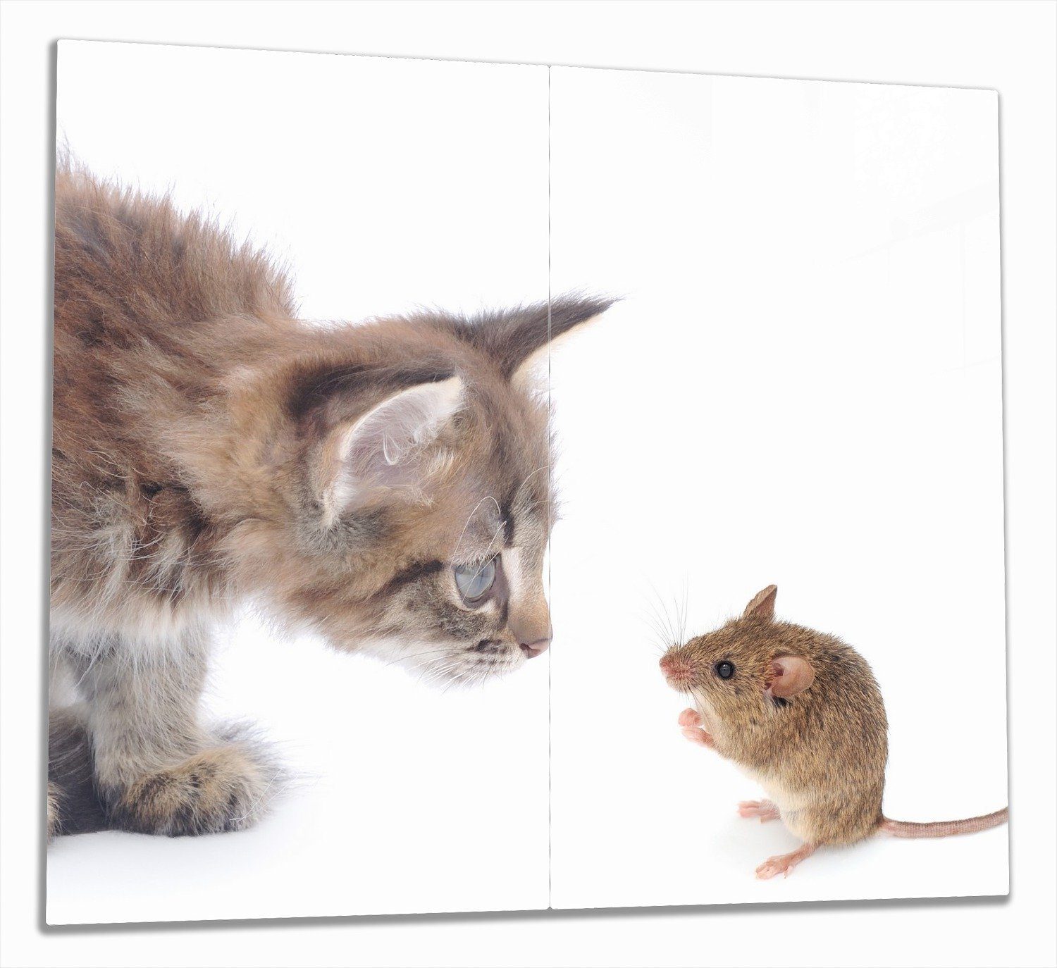 Wallario Herd-Abdeckplatte Katze und Maus beim Spielen - weißer Hintergrund, ESG-Sicherheitsglas, (Glasplatte, 2 tlg., inkl. 5mm Noppen), verschiedene Größen