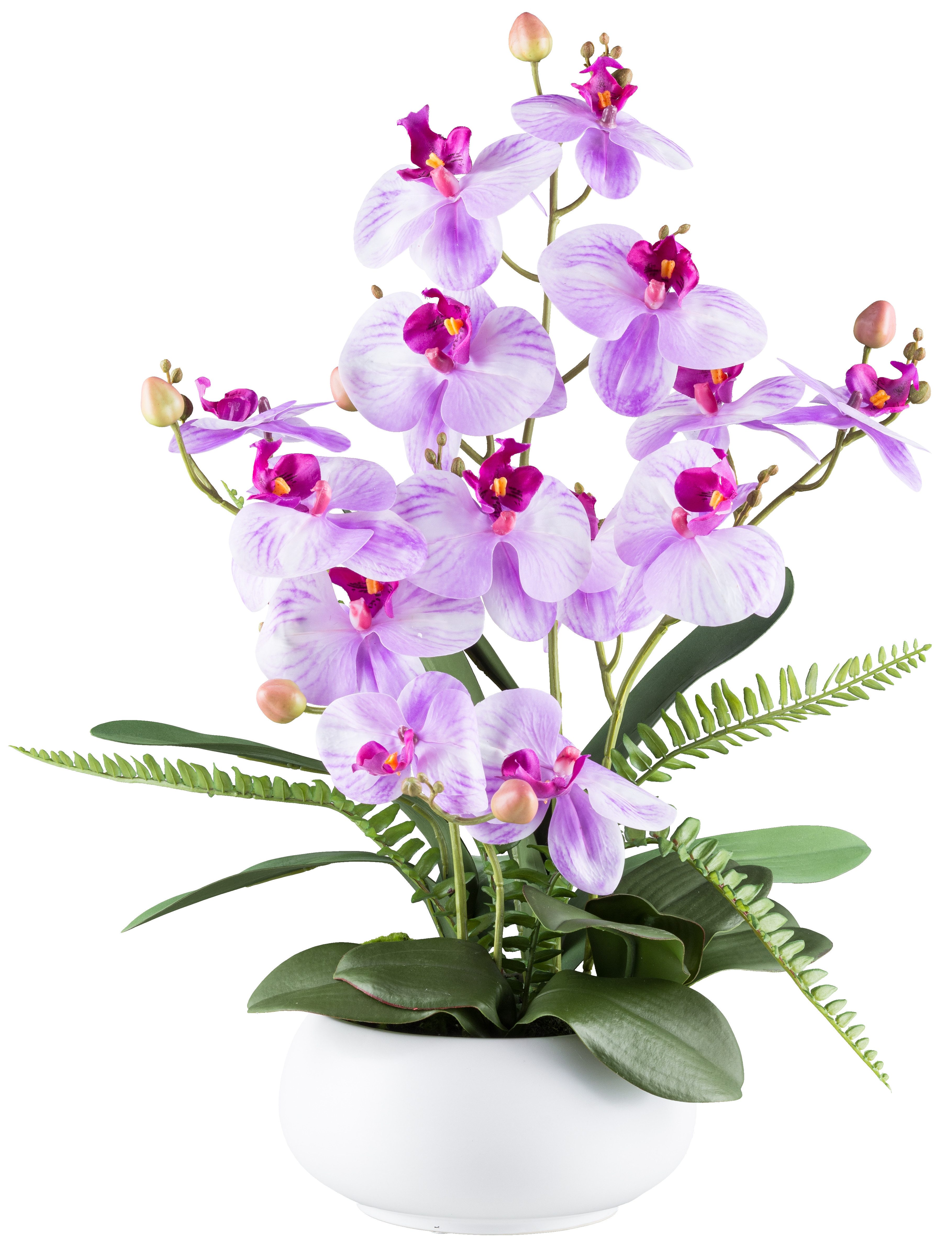 Kunstblume Kunstpflanze Orchidee in weissem Topf, ca. 50 cm, Dahlia Studios