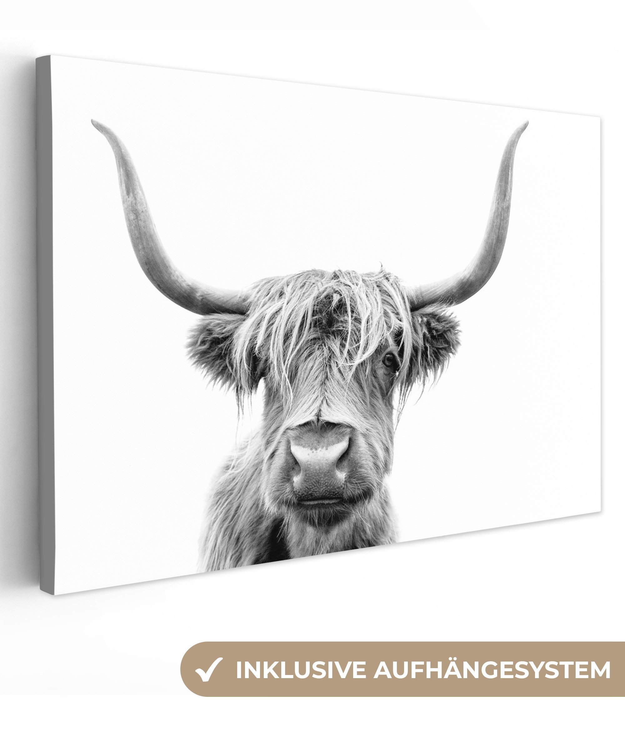 OneMillionCanvasses® Leinwandbild Scottish Highlander - Stier - Schwarz - Weiß, (1 St), Wandbild Leinwandbilder, Aufhängefertig, Wanddeko, 30x20 cm