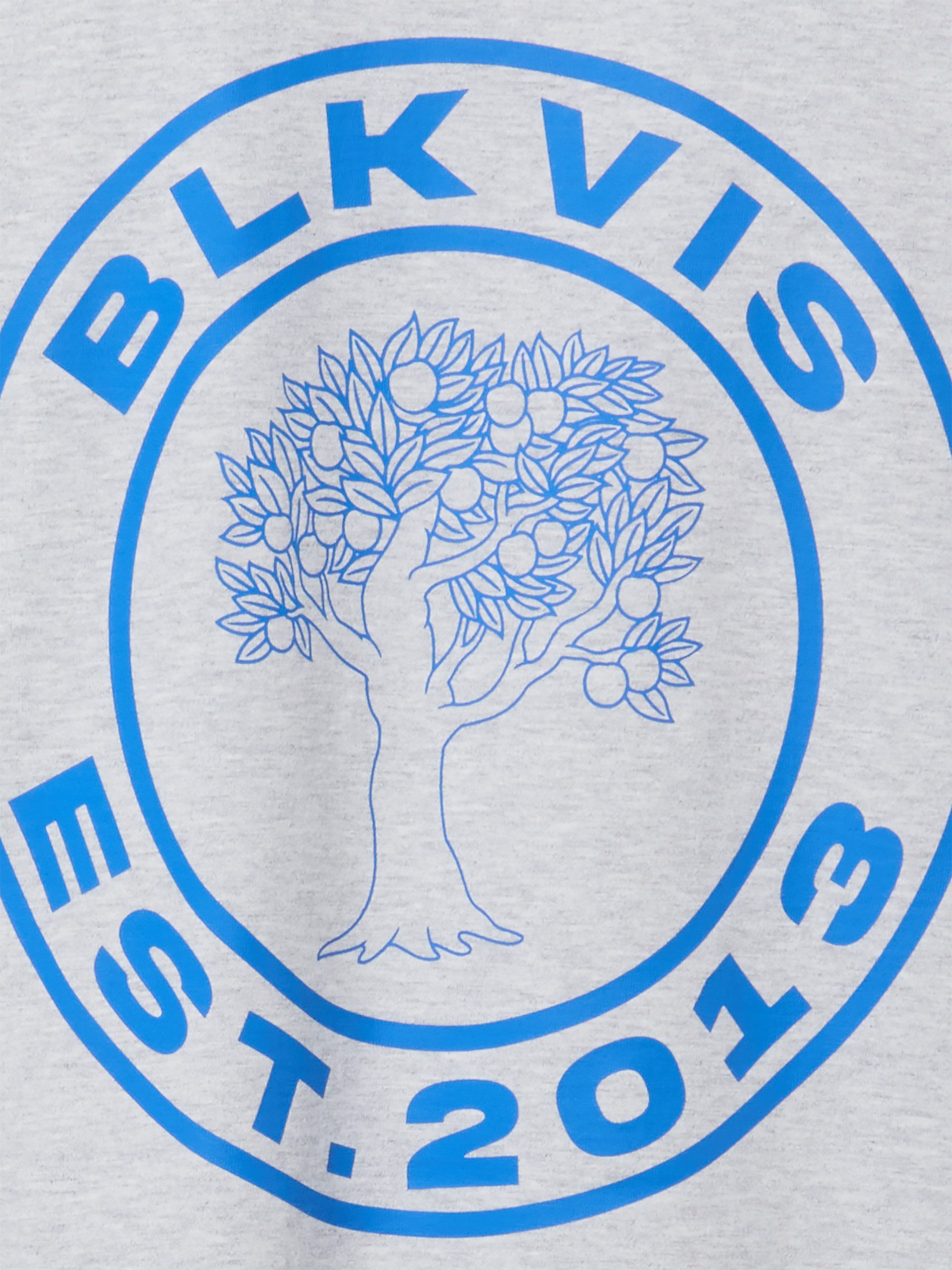 BLKVIS T-Shirt Source