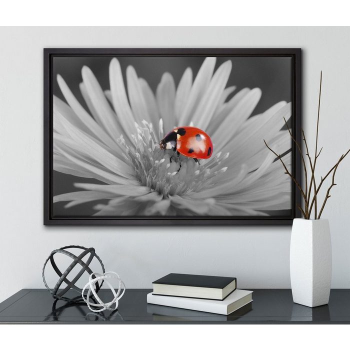 Pixxprint Leinwandbild leuchtender Marienkäfer auf Blüte Wanddekoration (1 St) Leinwandbild fertig bespannt in einem Schattenfugen-Bilderrahmen gefasst inkl. Zackenaufhänger