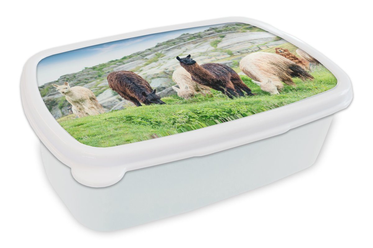 MuchoWow Lunchbox Alpaka - Berg - Gras, Kunststoff, (2-tlg), Brotbox für Kinder und Erwachsene, Brotdose, für Jungs und Mädchen weiß