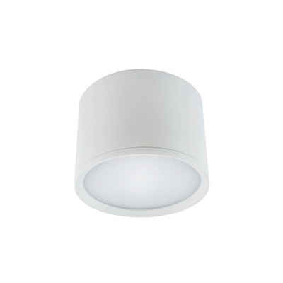 Licht-Erlebnisse Deckenleuchte BAILEY, LED, Neutralweiß, LED D: 10 cm Weiß Wohnzimmer 4100 K 580 lm Aluminium