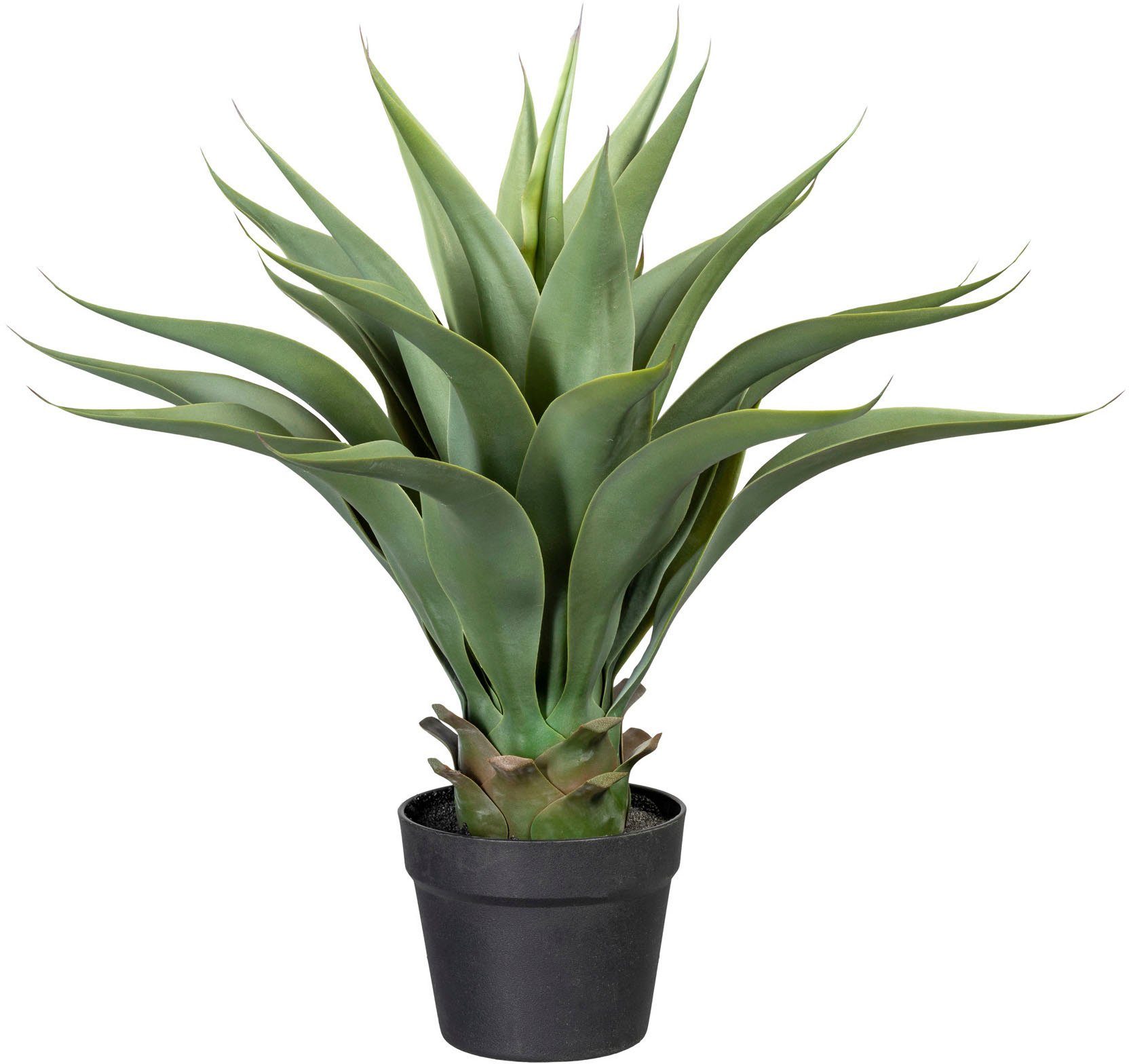 Künstliche Zimmerpflanze Agave Agave, Creativ green, Höhe 57 cm