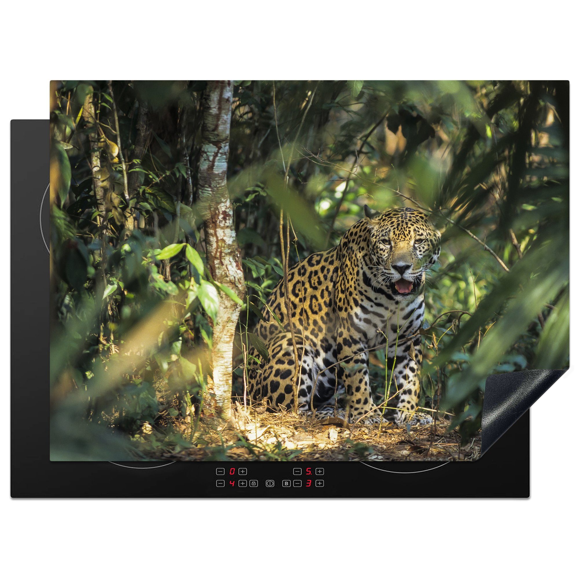 MuchoWow Herdblende-/Abdeckplatte Jaguar - Bäume - Pflanzen, Vinyl, (1 tlg), 71x52 cm, Induktionskochfeld Schutz für die küche, Ceranfeldabdeckung