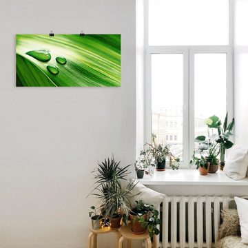 Artland Poster Nahaufnahme eines grünen Pflanzenblattes, Blätter (1 St), als Leinwandbild, Wandaufkleber oder Poster in versch. Größen