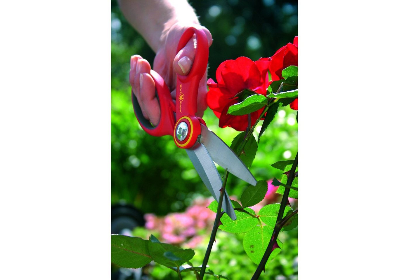 Thumbnail - WOLF-Garten Strauchschere WOLF-Garten Vielzweck-Schere RA-X, 18cm