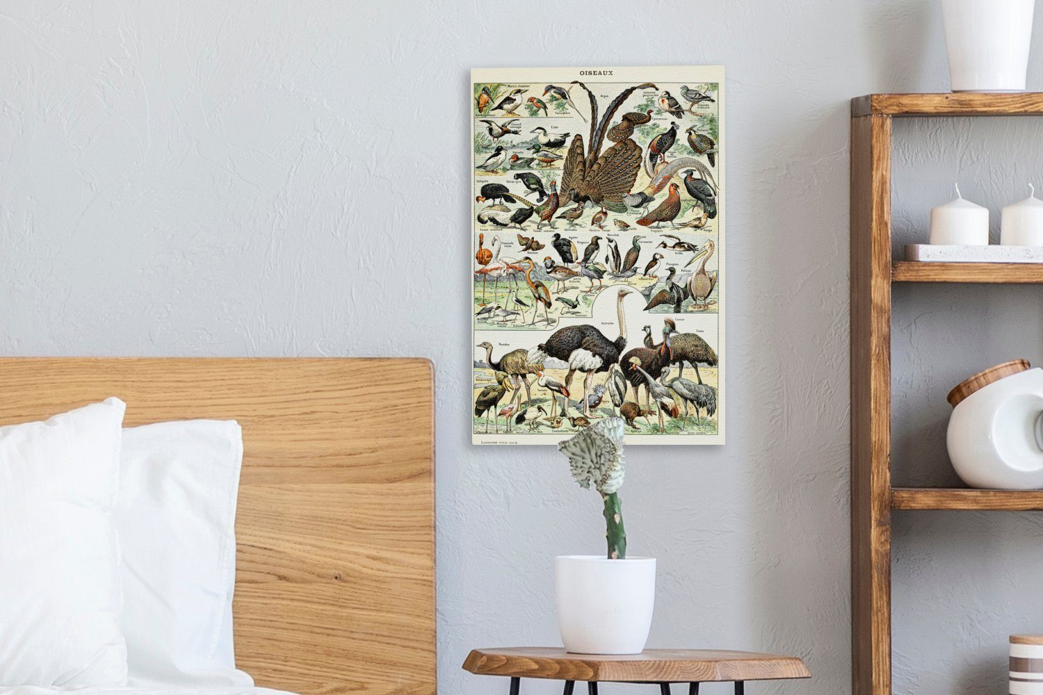 Zackenaufhänger, St), OneMillionCanvasses® bunt inkl. 20x30 Kunstwerk, Gemälde, - fertig Tiere Vintage (1 bespannt Leinwandbild Vogel - - cm Natur Leinwandbild -