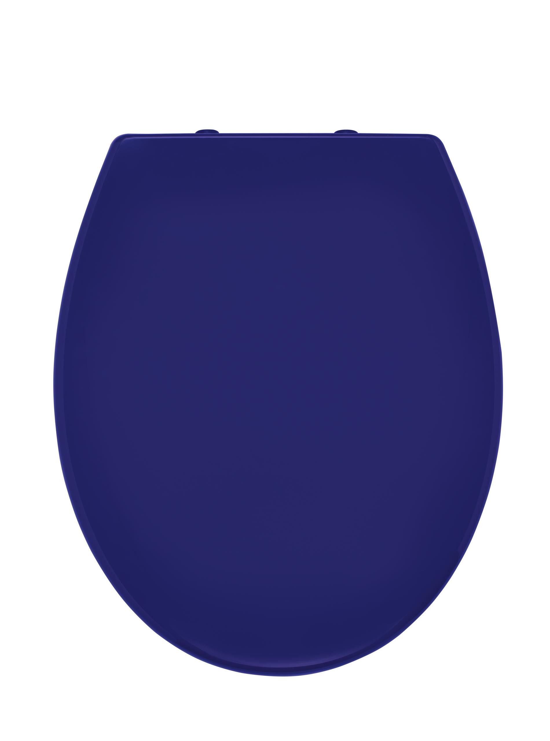 Ridder WC-Sitz Miami blau günstig online kaufen