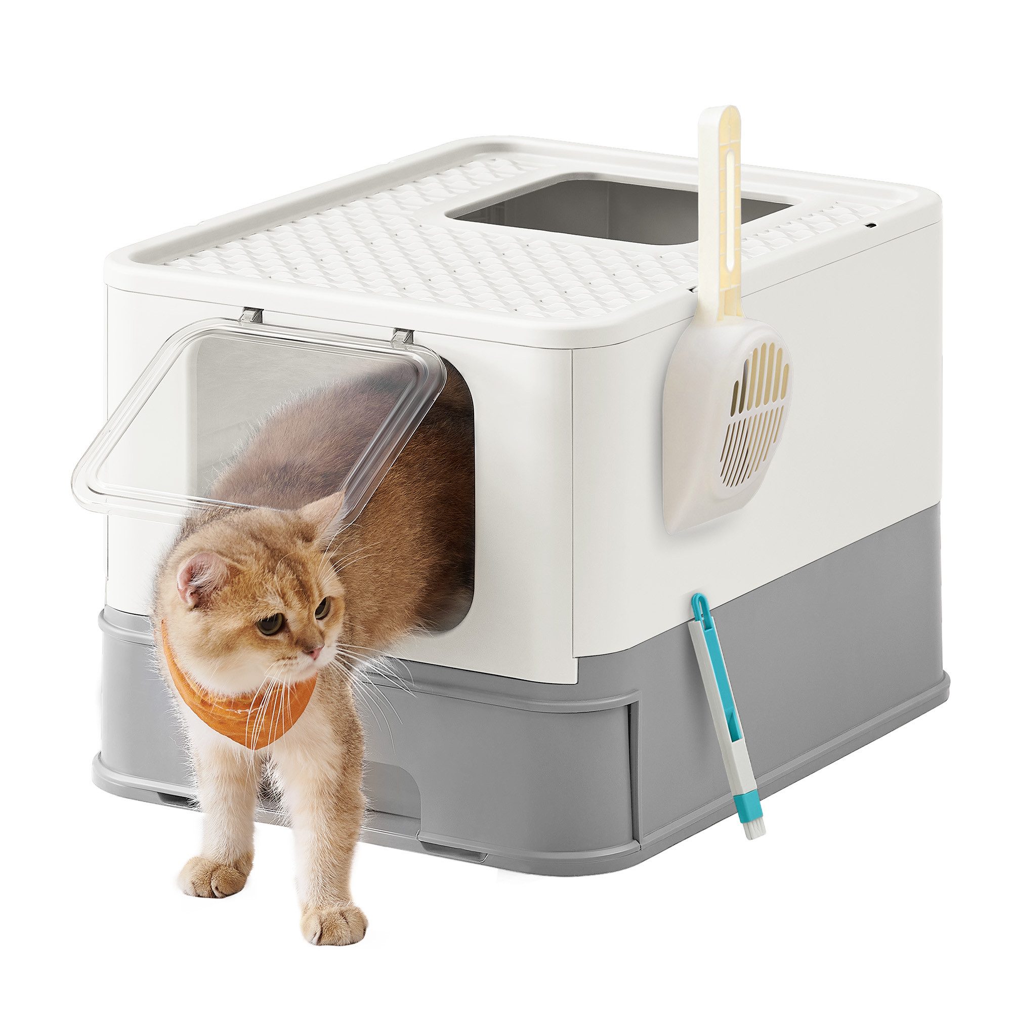 Katzentoilette