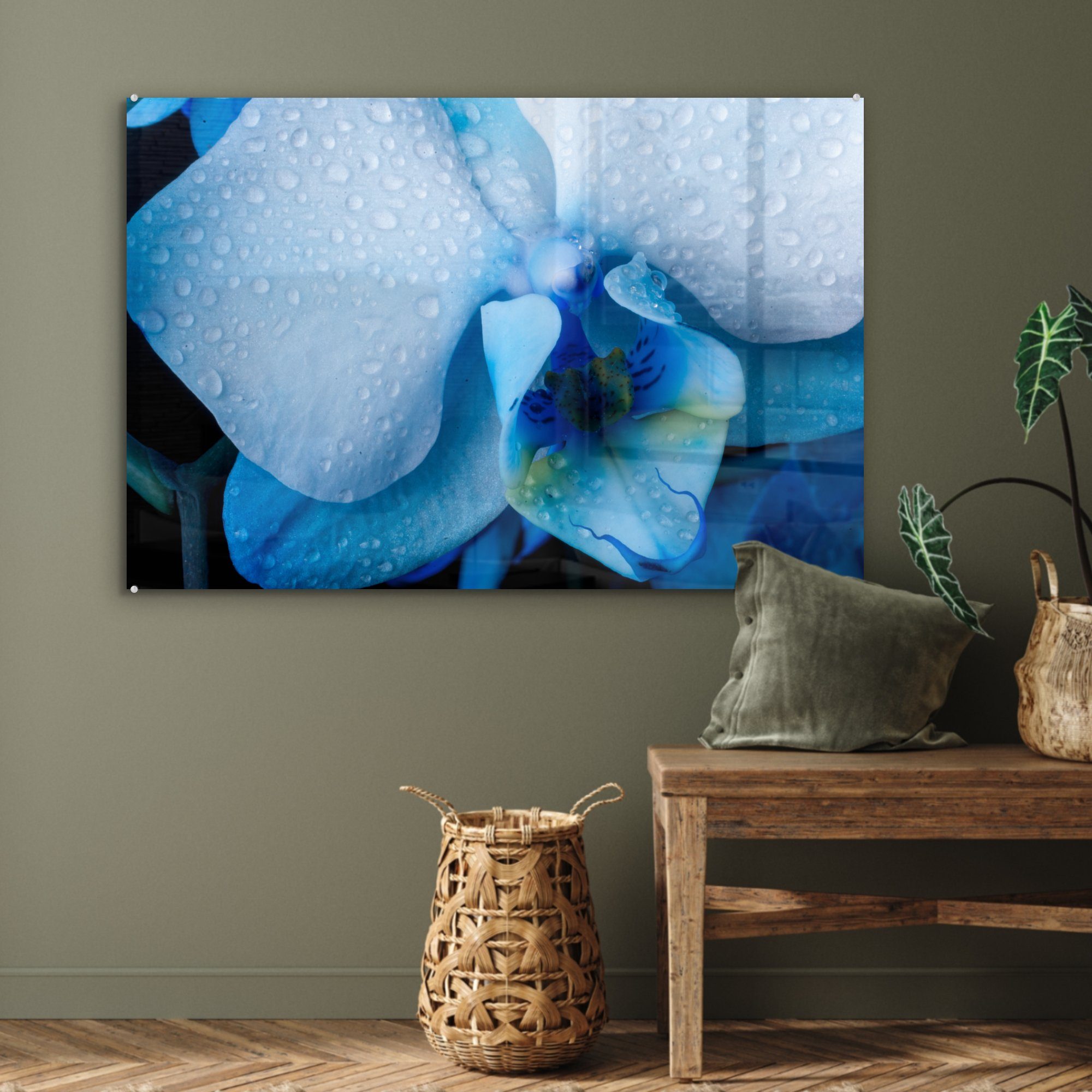 MuchoWow Acrylglasbild Nahaufnahme einer Acrylglasbilder Orchidee blauen hellen mit & Blättern, (1 Wohnzimmer Schlafzimmer St)