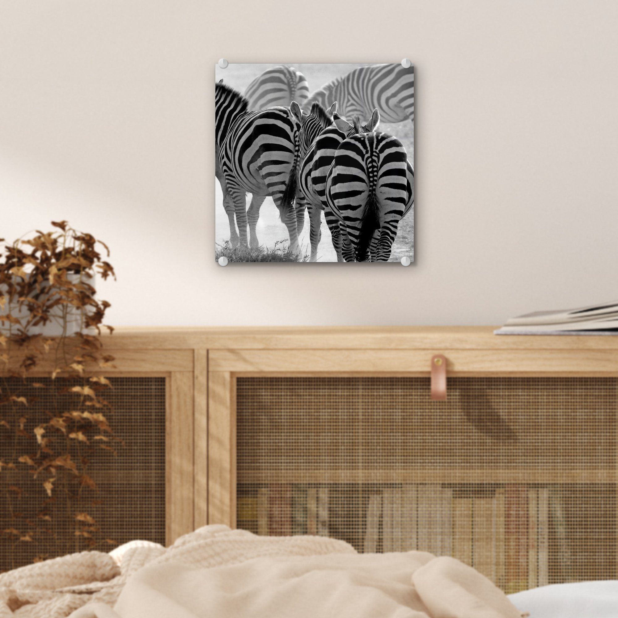 MuchoWow - - Zebras, Bilder Laufende Acrylglasbild Wandbild Foto auf St), auf Wanddekoration Glasbilder Glas Glas (1 -