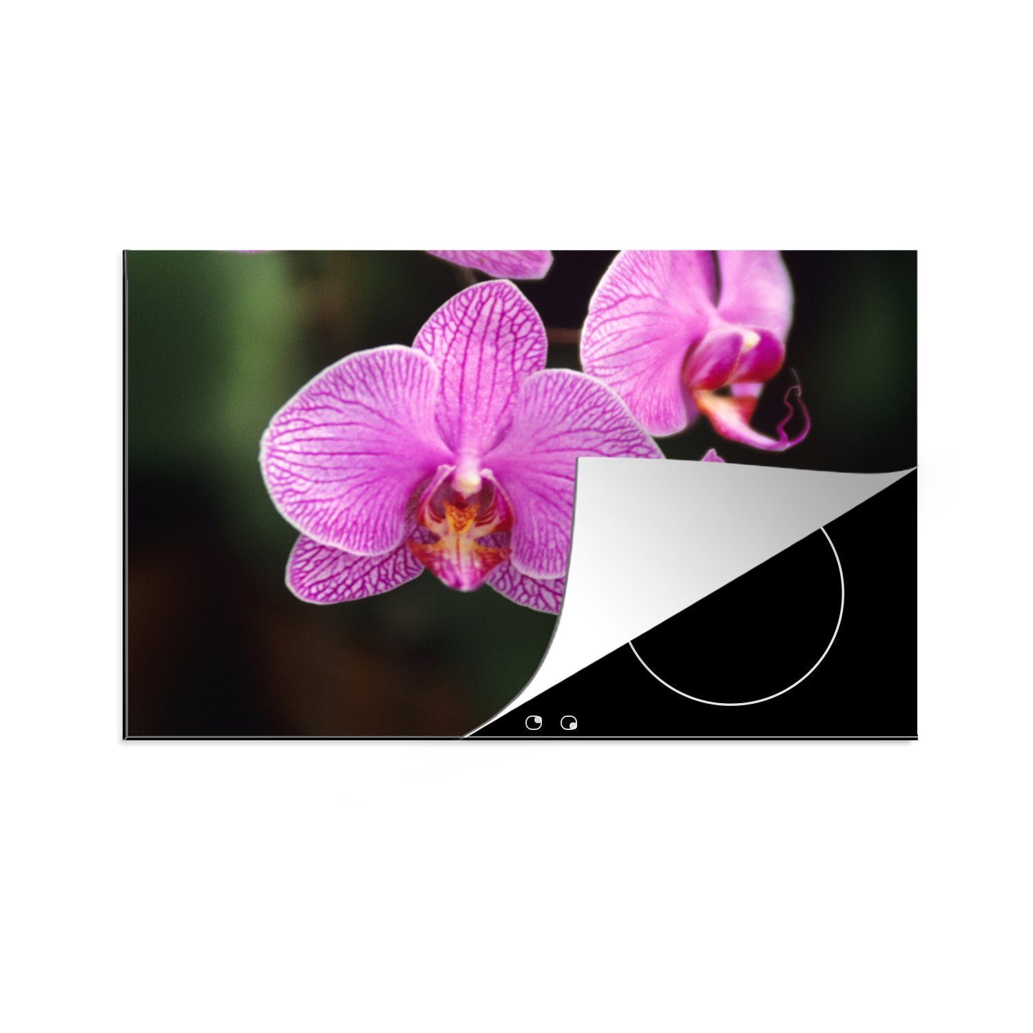 cm, MuchoWow Ceranfeldabdeckung Herdblende-/Abdeckplatte Schutz Induktionskochfeld tlg), (1 Rosa küche, 81x52 für die Orchidee, Vinyl,