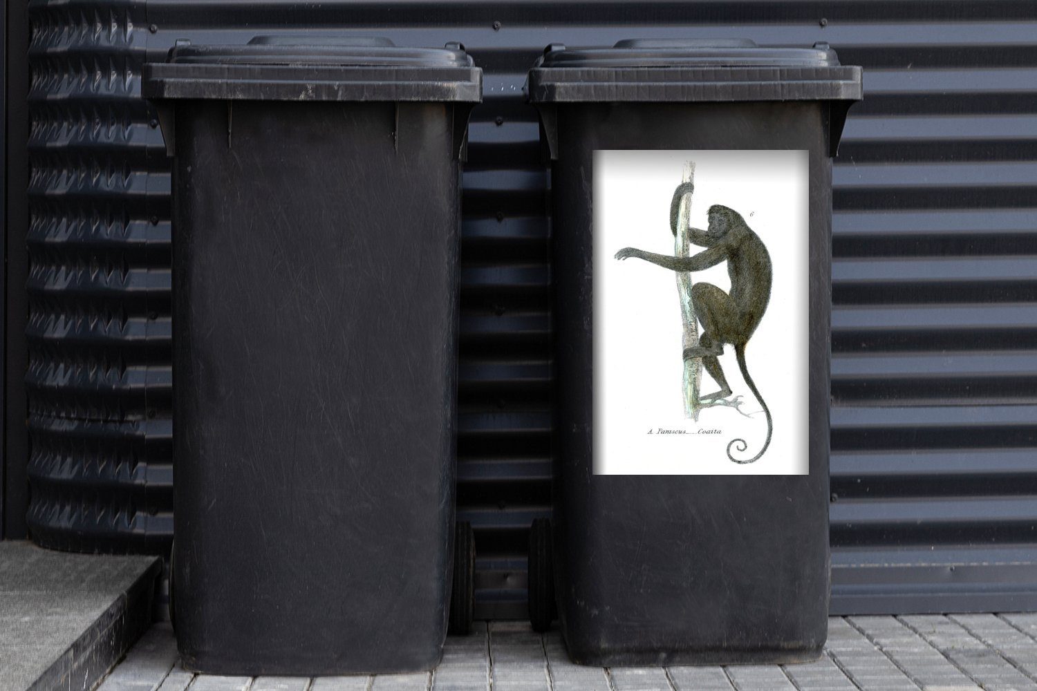 Container, auf Bambusstab Mülltonne, einem Klammeraffen Eine MuchoWow Abfalbehälter Wandsticker eines St), Illustration Sticker, Mülleimer-aufkleber, (1