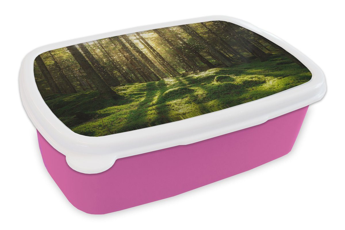 Sonne Kinder, Brotdose - Moos Mädchen, MuchoWow Bäume - Natur, Erwachsene, Brotbox - Wald Pflanzen - rosa Snackbox, (2-tlg), Kunststoff - Kunststoff, für Lunchbox