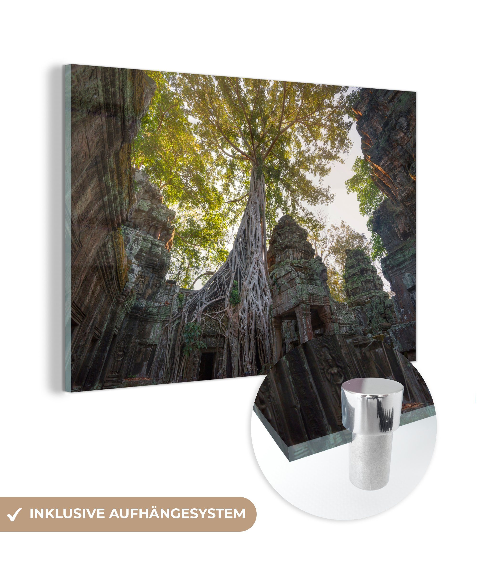 MuchoWow Acrylglasbild Bäume am Ta Prohm-Tempel in Angkor Wat, (1 St), Acrylglasbilder Wohnzimmer & Schlafzimmer