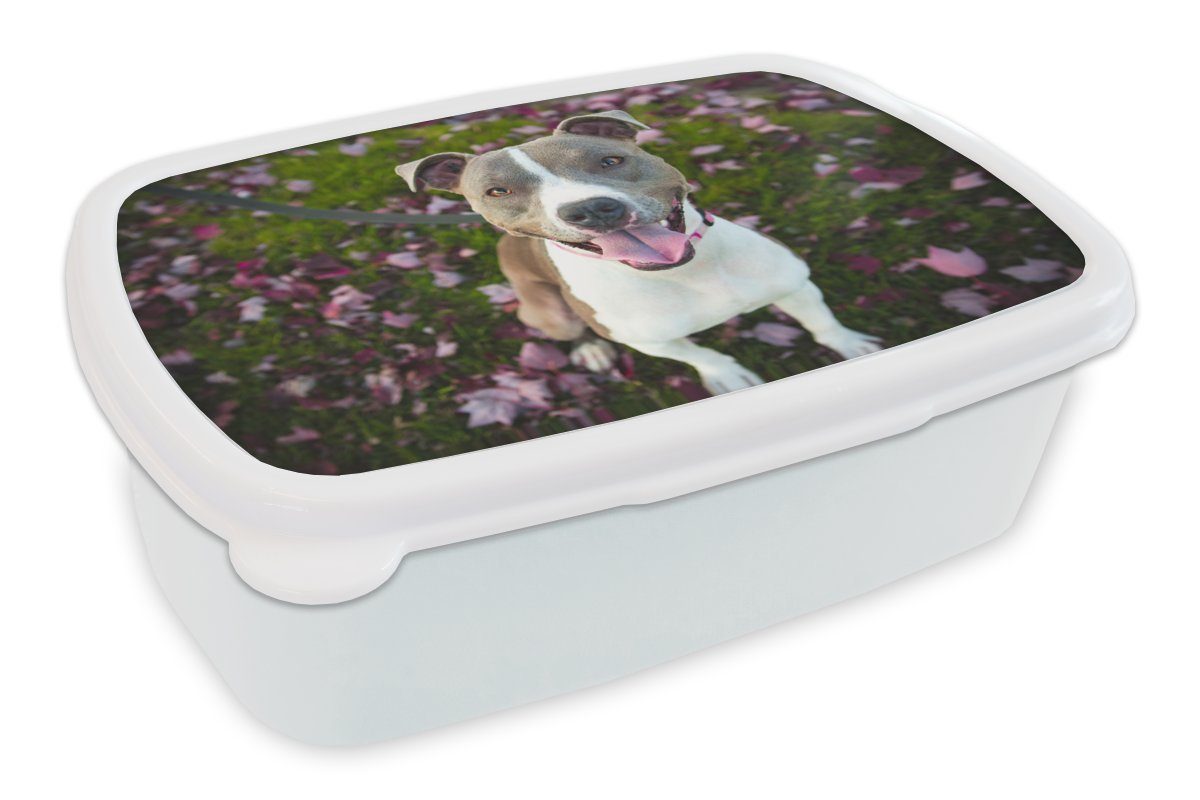 Lunchbox und Kunststoff, weiß Hund Gras Kinder und Erwachsene, - MuchoWow Brotbox (2-tlg), - für für Brotdose, Blumen, Jungs Mädchen