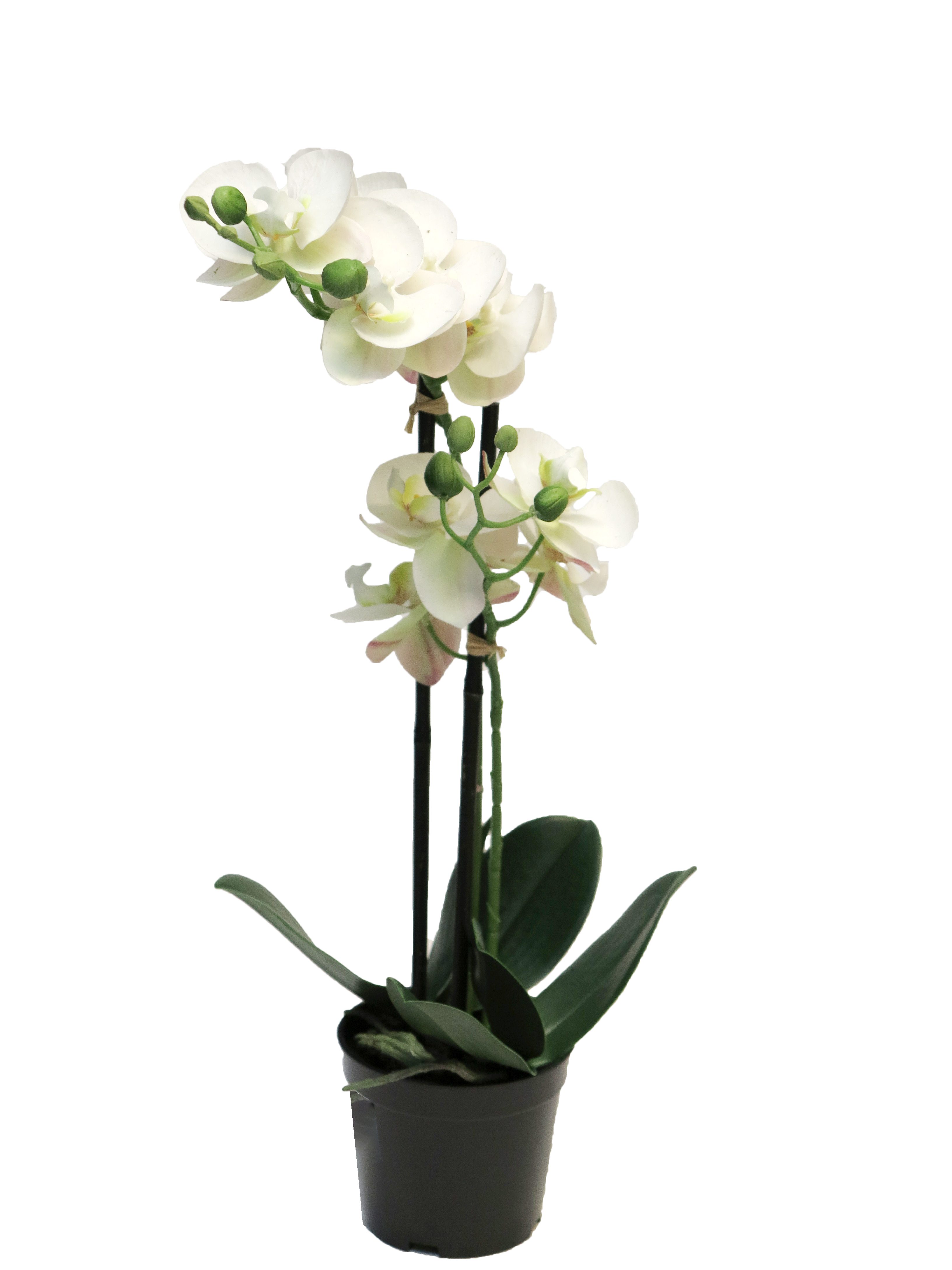 Kunstorchidee künstliche Phalaenopsis Bora 50cm mit günstig online kaufen