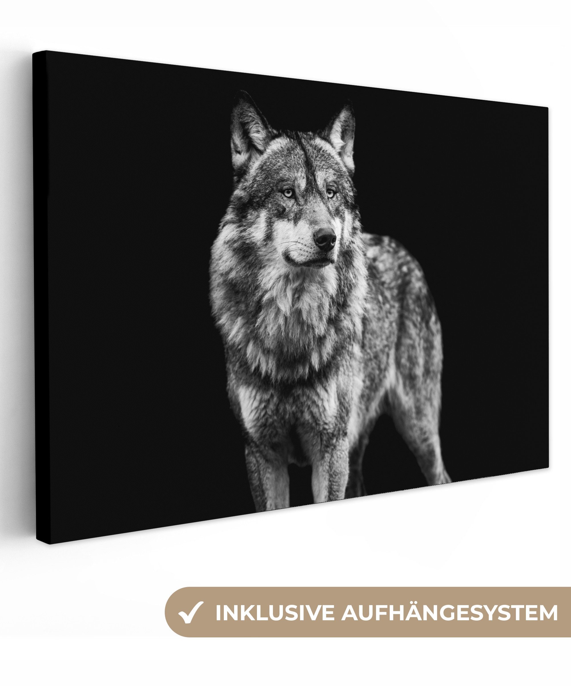 OneMillionCanvasses® Leinwandbild Wolf - Tiere - Wild - Schwarz - Weiß, Fot günstig online kaufen