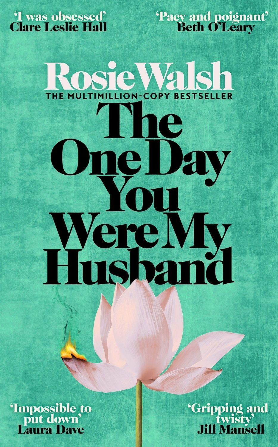 The One Day You Were My Husband / Rosie Walsh