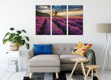 Pixxprint Leinwandbild Lavendel Provence mit Baum, Lavendel Provence mit Baum 3Teiler (120x80cm) (1 St), Leinwandbild fertig bespannt, inkl. Zackenaufhänger