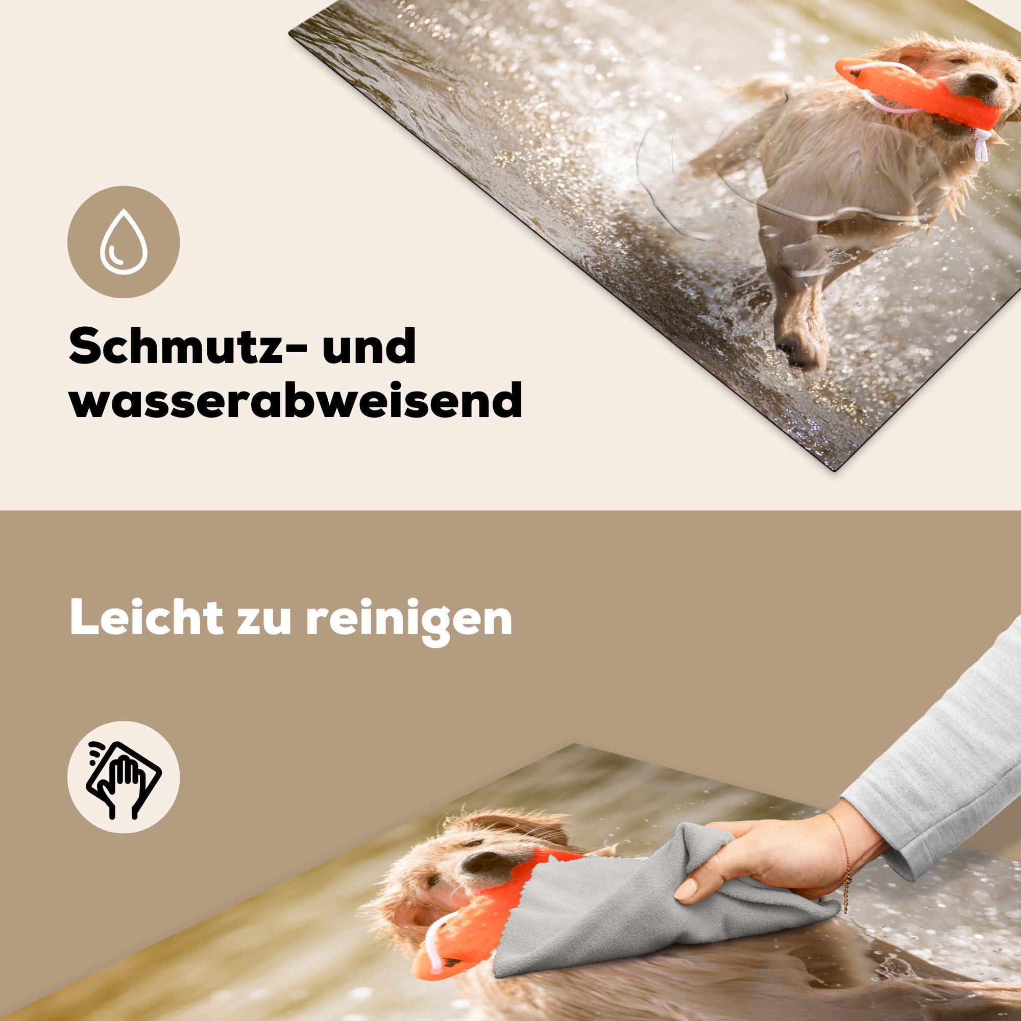 MuchoWow Herdblende-/Abdeckplatte Ein reinrassiger im Golden läuft für die tlg), cm, küche, Induktionskochfeld Schutz Wasser, Welpe 81x52 Ceranfeldabdeckung Retriever (1 Vinyl