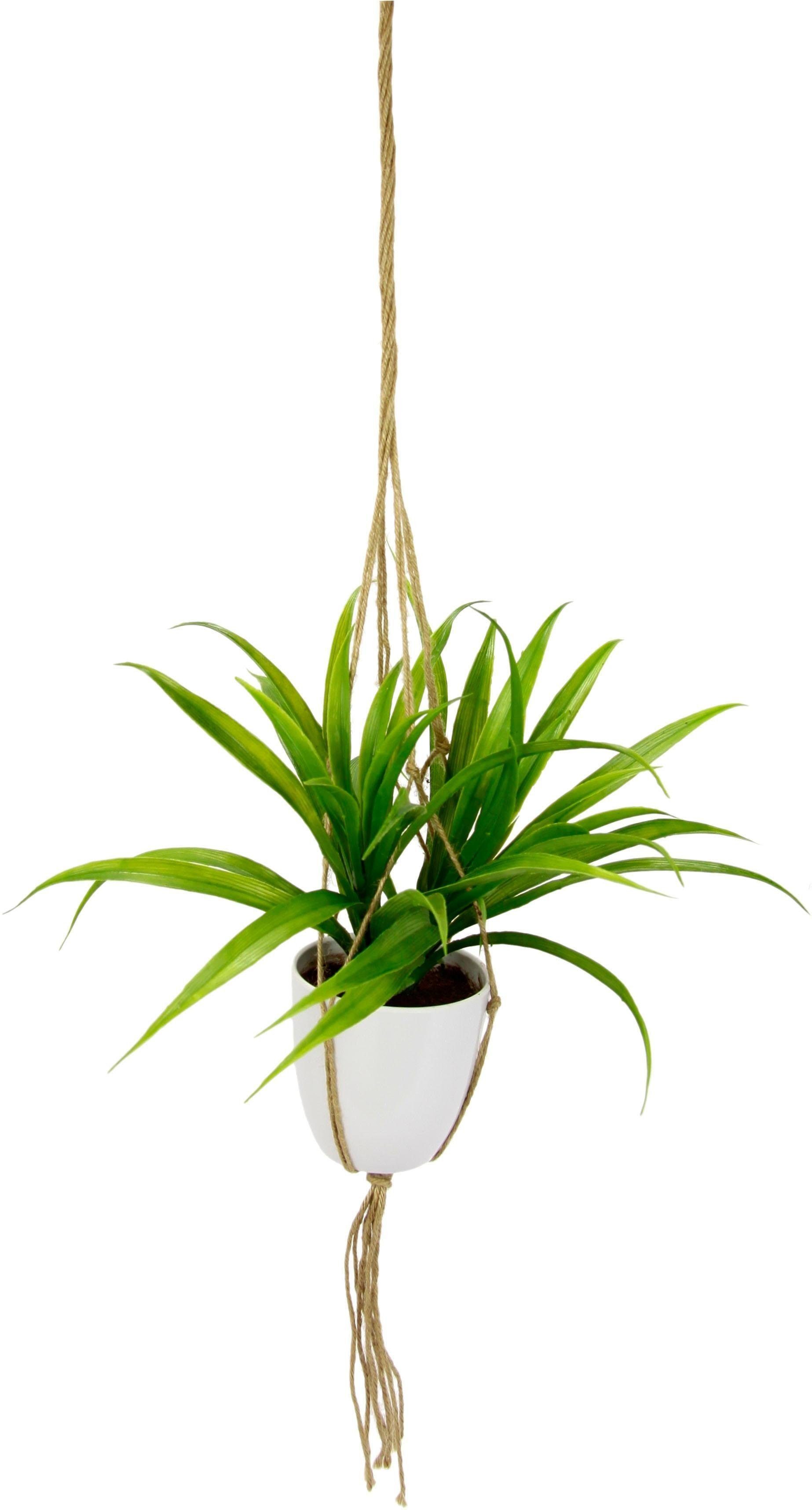 Kunstpflanze Dracena Dracena, I.GE.A., Höhe 35 cm, in Hängeampel