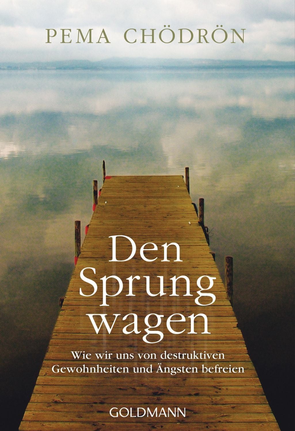 Ratgeber Den Sprung wagen Wie wir uns von destruktiven Gewohnheiten und Ängsten Pema Chödrön