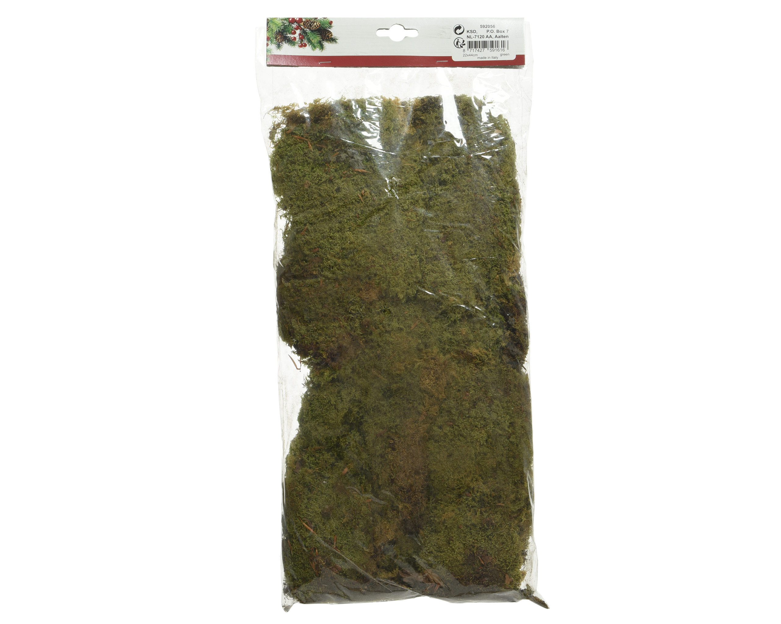 Kaemingk Bastelnaturmaterial, Moos Natur zum Basteln und Dekorieren 140g Grün / Braun