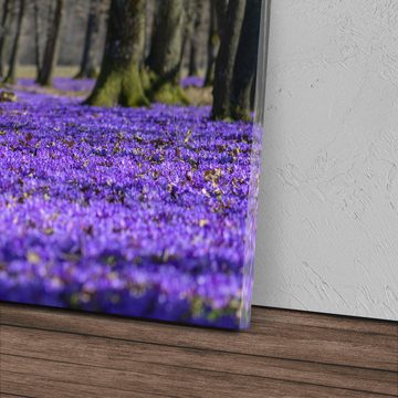 Sinus Art Leinwandbild 120x80cm Wandbild auf Leinwand Violette Blüten Blumen Natur Bäume, (1 St)