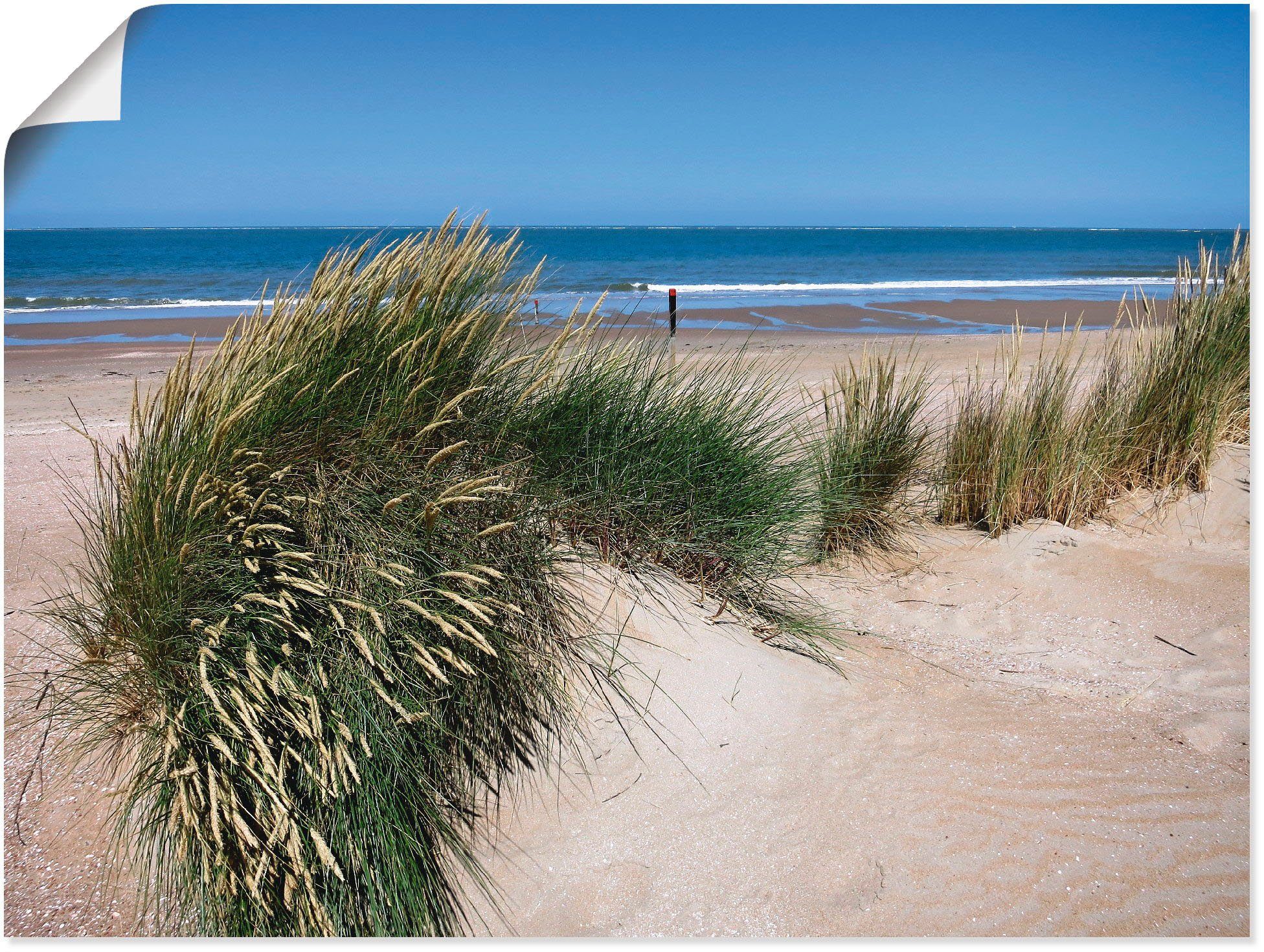 Artland Wandbild wellige Dünenlandschaft, Strand (1 St), als Alubild,  Leinwandbild, Wandaufkleber oder Poster in versch. Größen