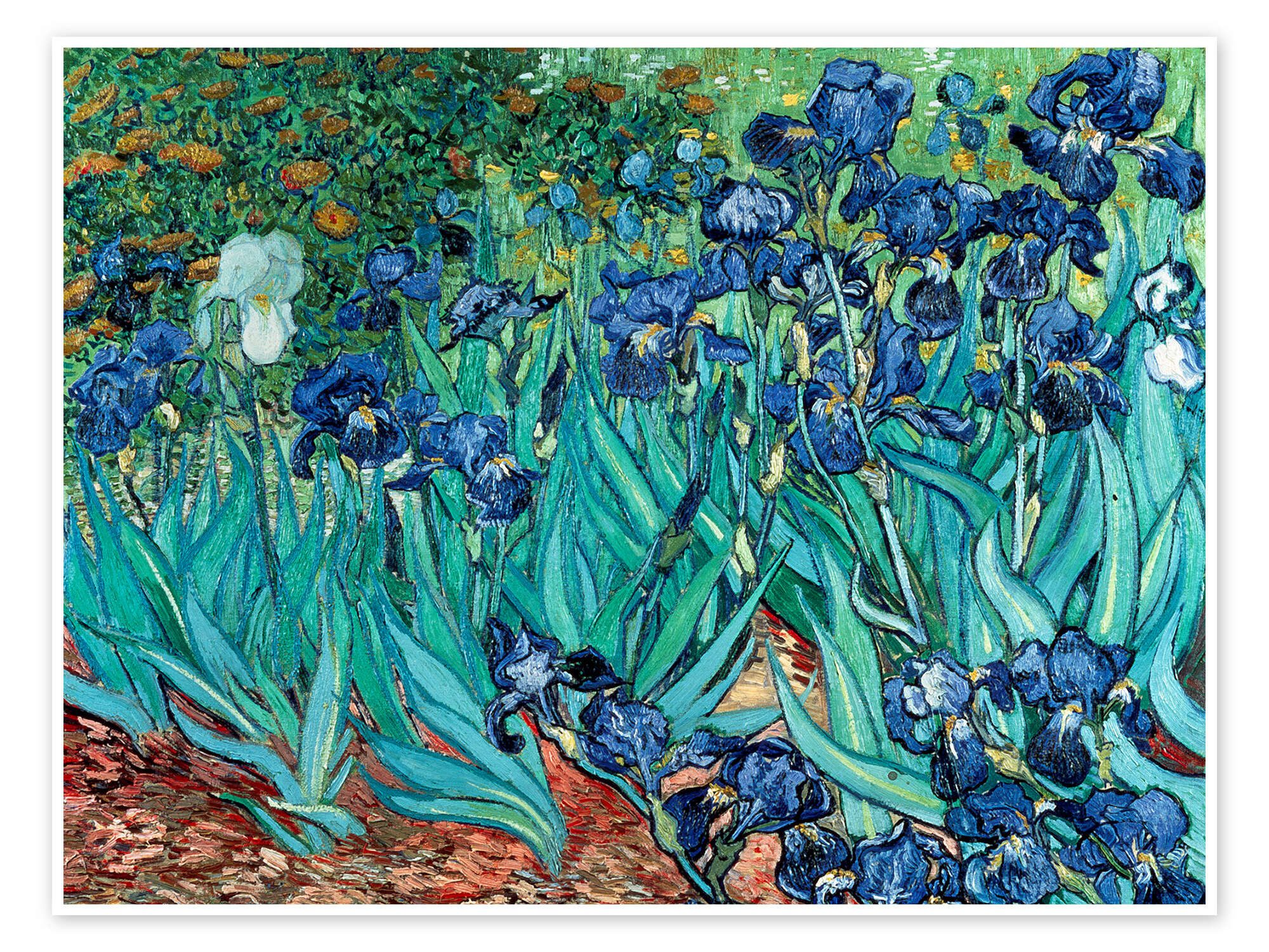 Posterlounge Wandbild Schwertlilien, 1889, Vincent van Gogh, erhältlich als Poster, Leinwandbild, Wandsticker oder Acrylglasbild