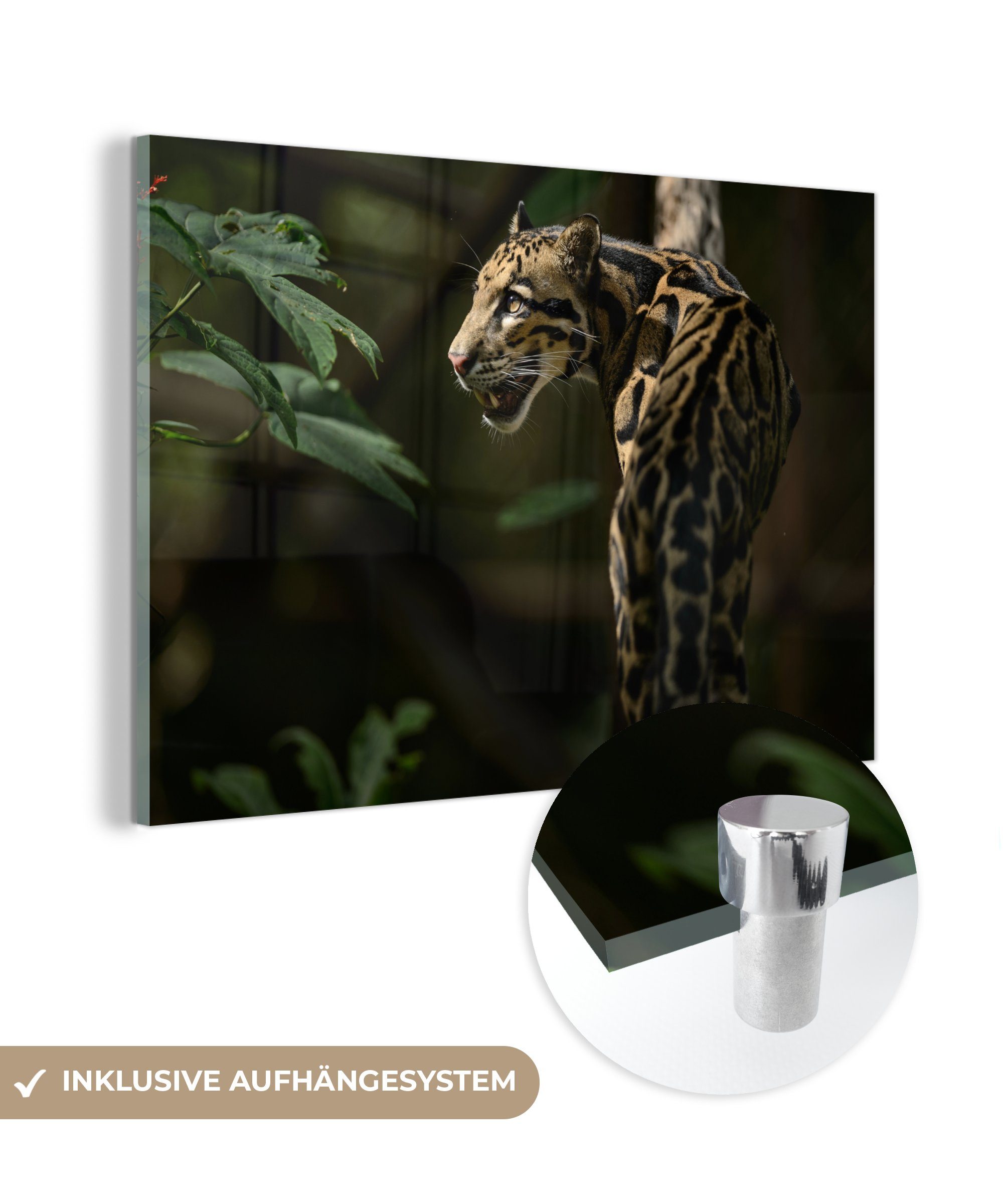 MuchoWow Acrylglasbild Ein bewölkter Leopard in einem dunklen Wald, (1 St), Acrylglasbilder Wohnzimmer & Schlafzimmer