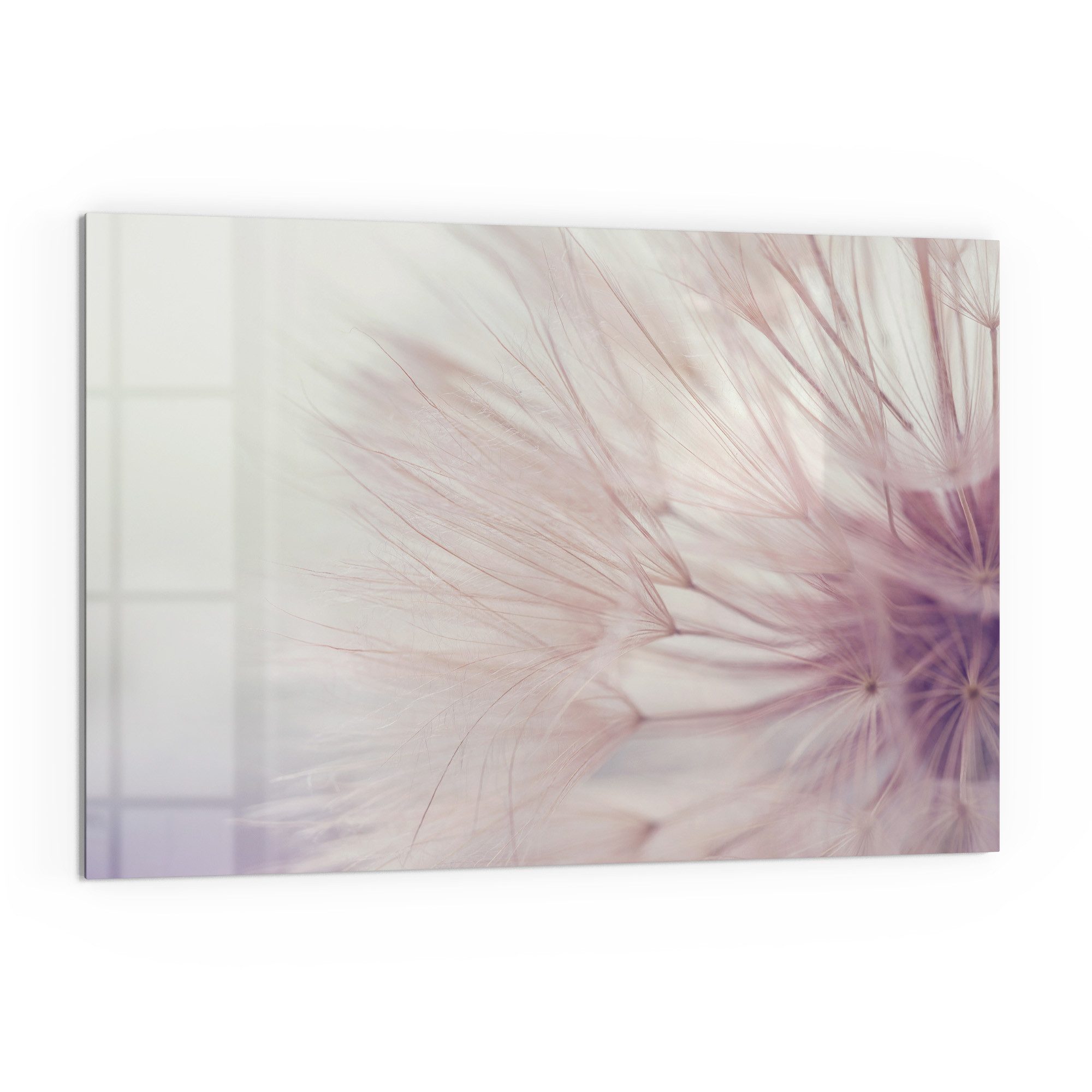 DEQORI Küchenrückwand 'Zarte Pusteblume', Glas Spritzschutz günstig online kaufen