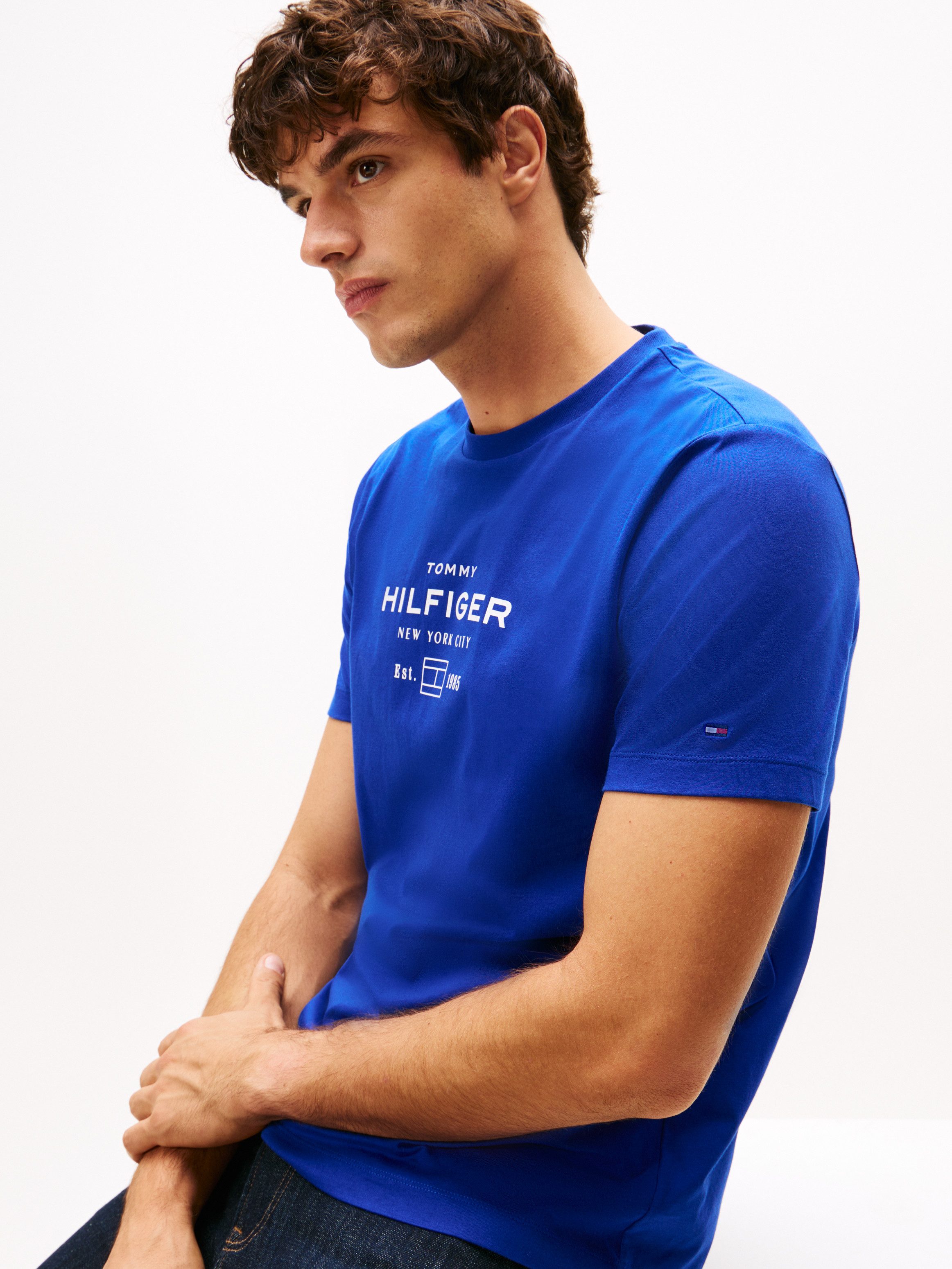 Tommy Hilfiger T-Shirt HILFIGER STACK GRAPHIC günstig online kaufen