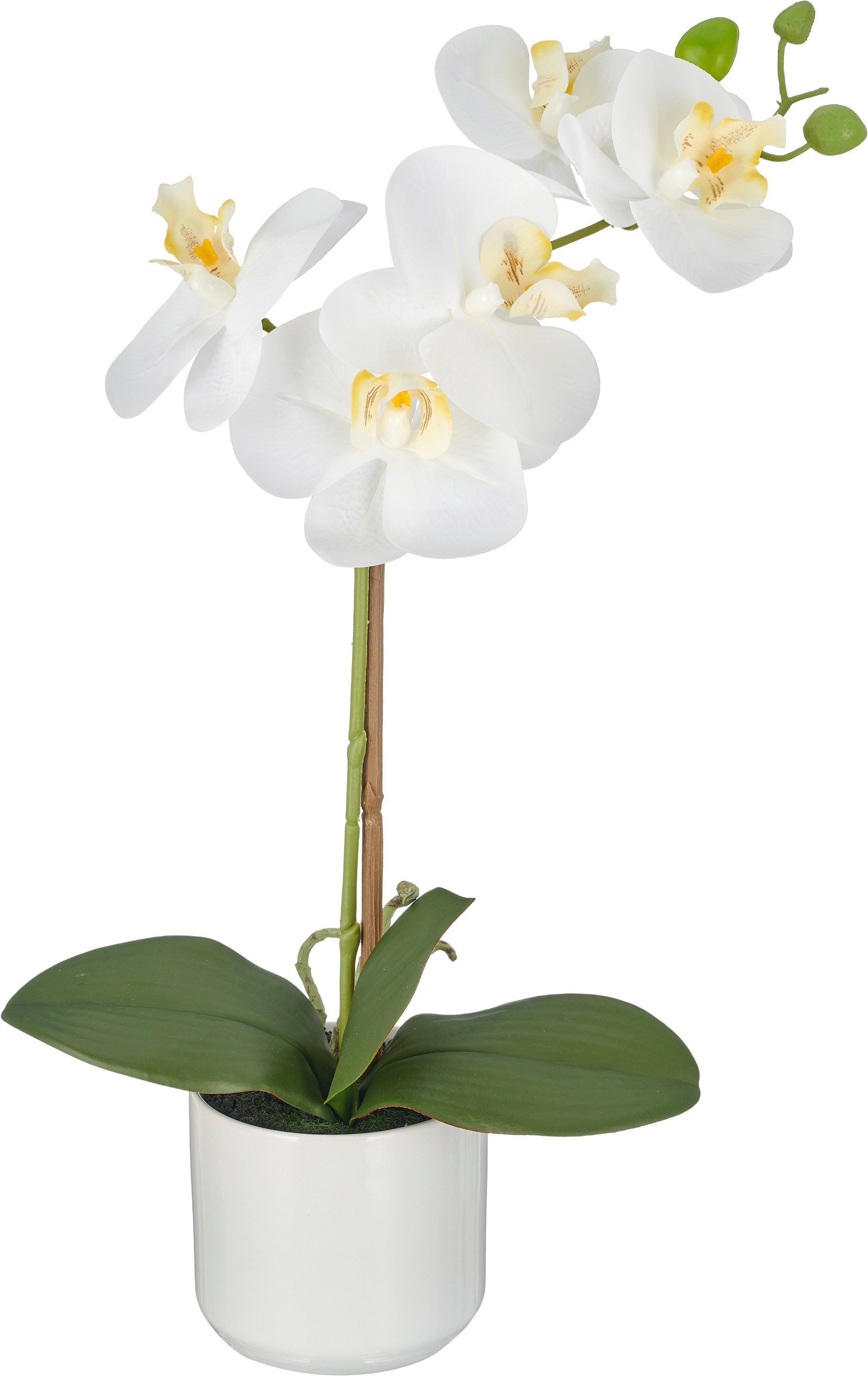 Kunstorchidee Phalaenopsis, Creativ green, Höhe 46 cm, mit Real-Touch-Blüten