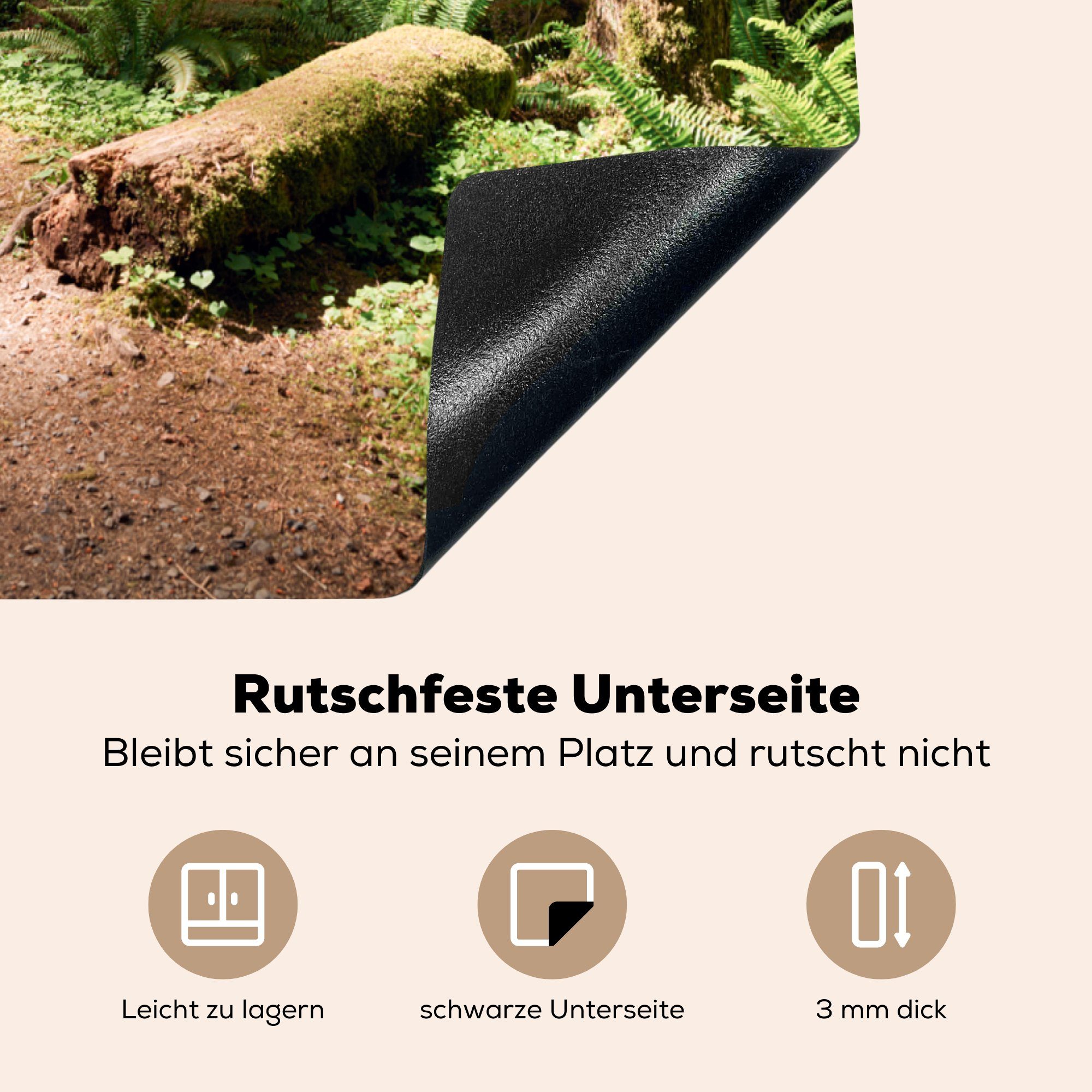 cm, Ceranfeldabdeckung, Arbeitsplatte MuchoWow küche Wald für - 77x59 Vinyl, Herdblende-/Abdeckplatte Baum, tlg), Amerika (1 -