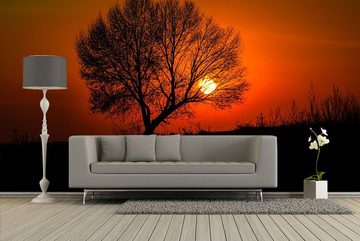 WandbilderXXL Fototapete Sonnenuntergang, glatt, Food, Vliestapete, hochwertiger Digitaldruck, in verschiedenen Größen