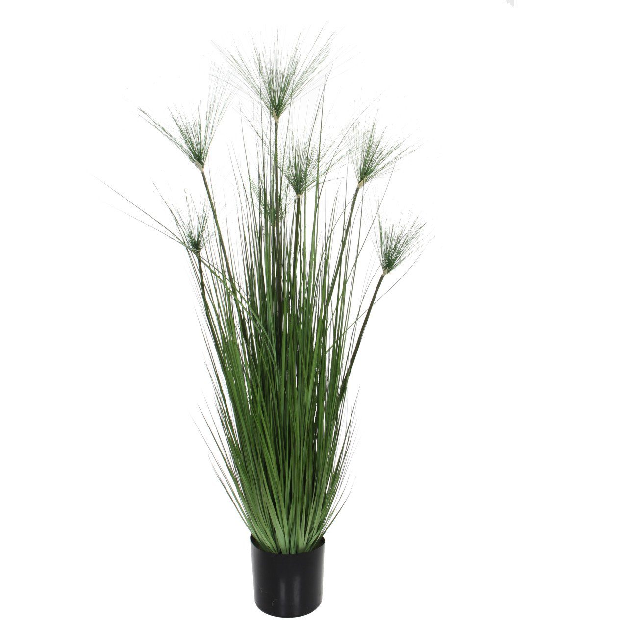 Kunstpflanze Mica Kunstpflanze Papyrus grün im Topf 150 x 19,5