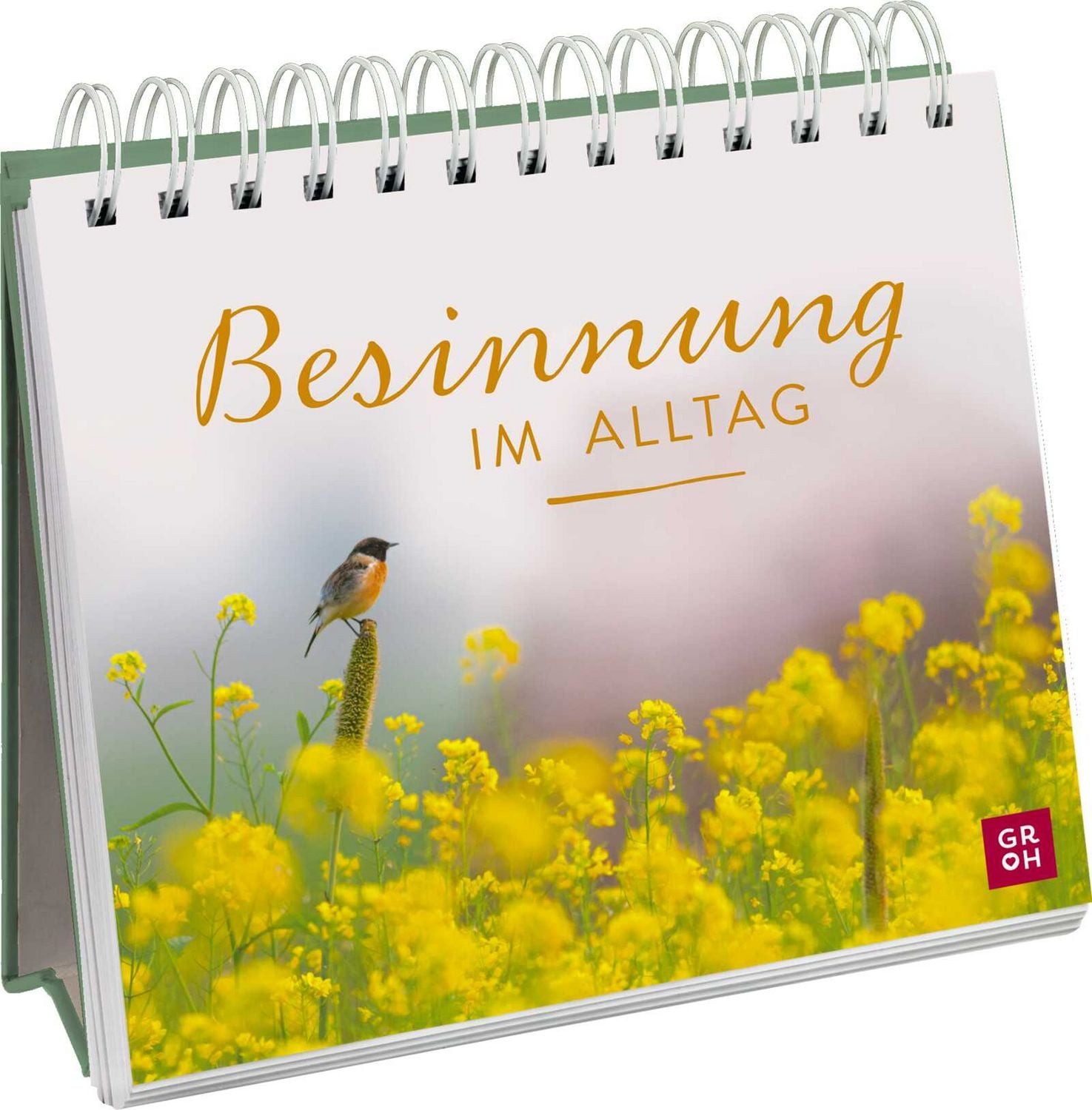 Besinnung im Alltag / diverse