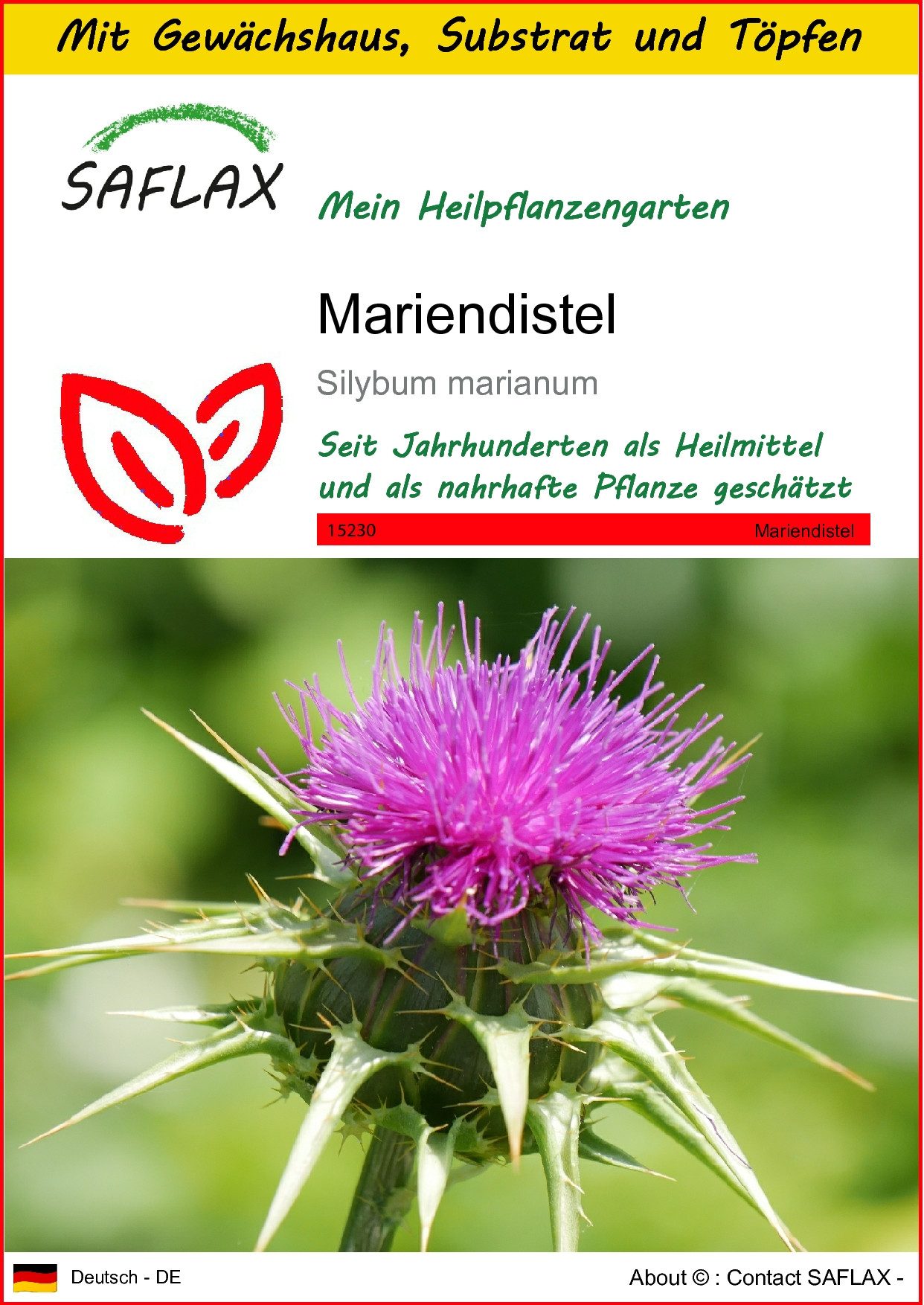 Blumensamen SAFLAX - Anzuchtset - Mariendistel