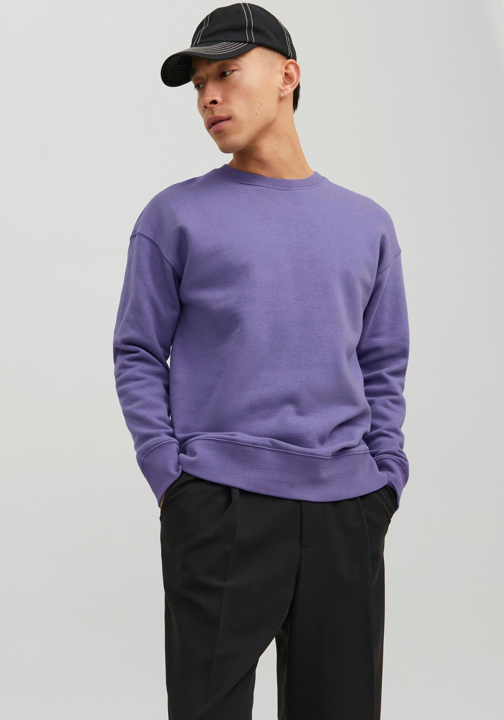 Jack & Jones Sweatshirt JJESTAR BASIC SWEAT CREW NECK NOOS Twilight Purple